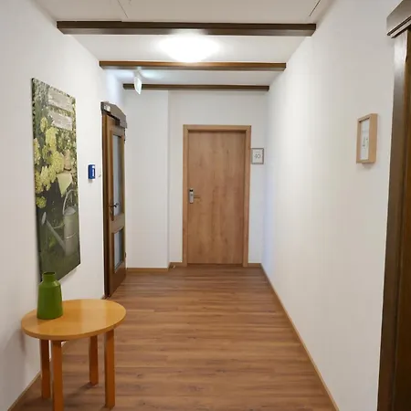 Hotel Zum Mueller 4* Лихтенфельс